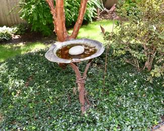 282Front Yard