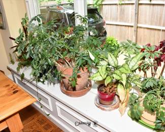 420Kitchen