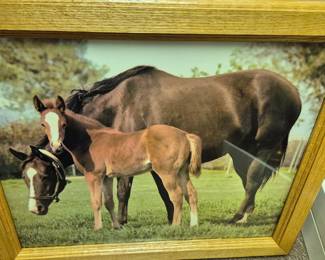 Horses