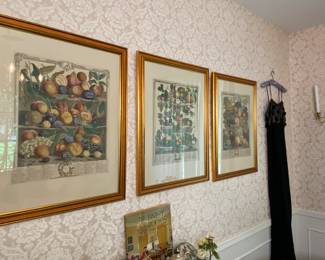 Vintage well framed botanical prints
