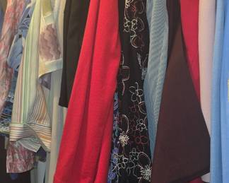Ladies Clothes Size 12 - 14P