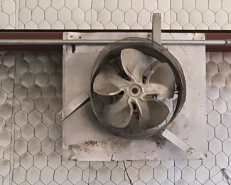 Fan