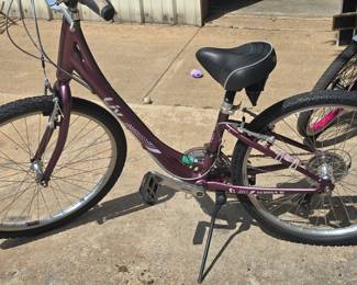 Another Girls Bike