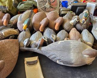 Duck Decoys