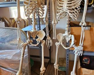 Halloween decor.
