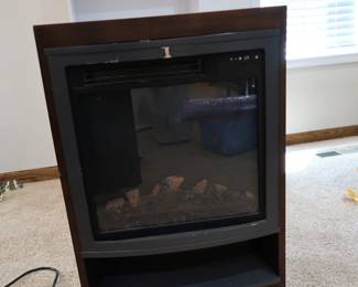 A electric fireplace insert
