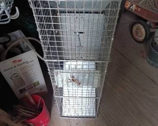 Trapping. Cage
