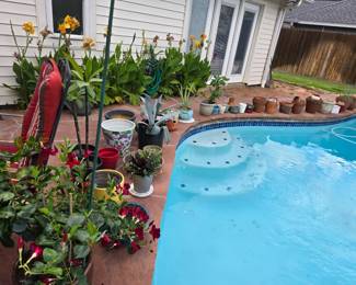 assorted plants, pots and supplies