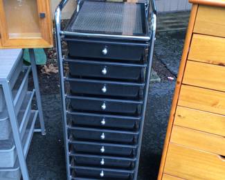 Metal and plastic 10 drawer organizer on wheels. 13” x 16” x 38”.