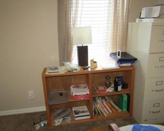 shelving unit and lamp