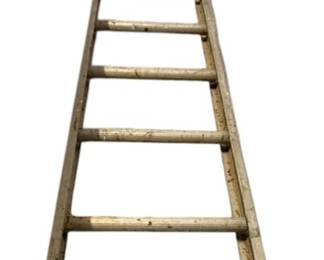 Aluminum Ladder Unmarked