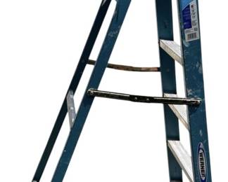 Werner 6 Fiber Glass Ladder