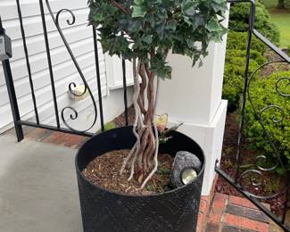Outdoor Planter W/ Real Plant