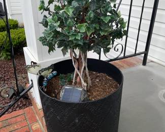 Outdoor Planter W/ Real Plant