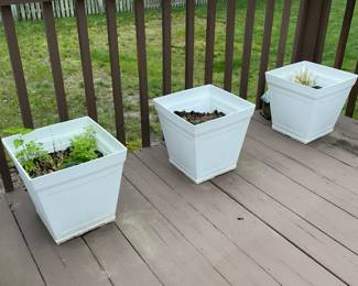 Outdoor Planters W/ Real Plant