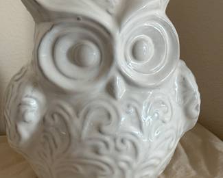 owl