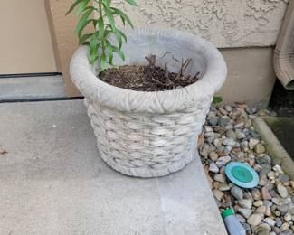 Concrete palnter