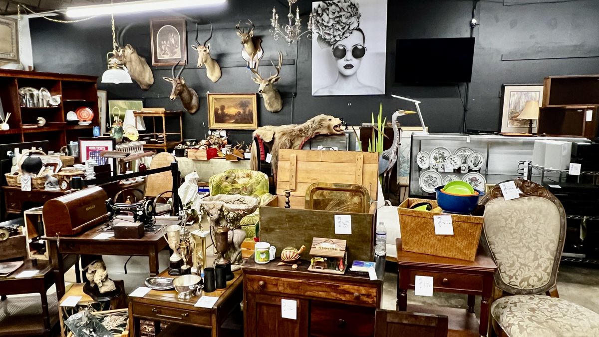 Over 100 lots available