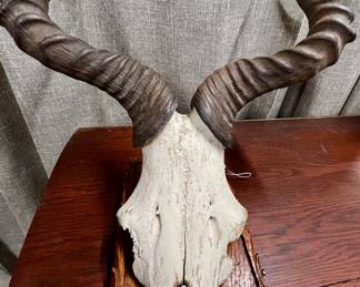 Harte beast cap mount