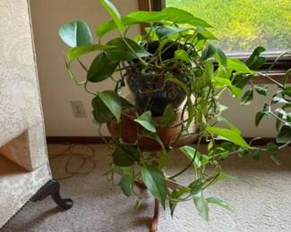 PLANT & PLANT TABLE