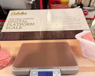 DIGITAL SCALES