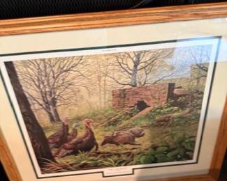 TURKEY PIC