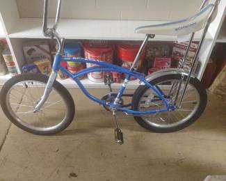 Schwinn Bike
