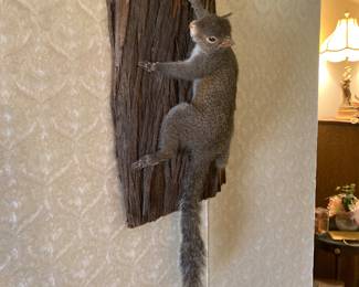 Taxidermy squirrel