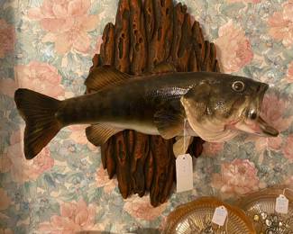 Taxidermy Bass