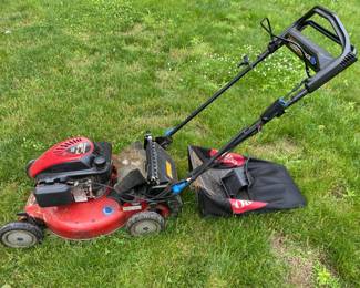 Nice Toro Push Mower
