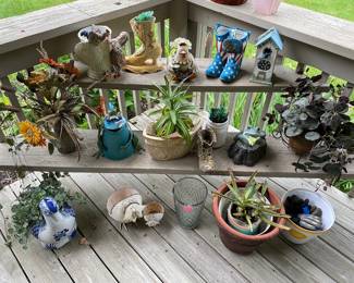 Live Plants & Garden Items