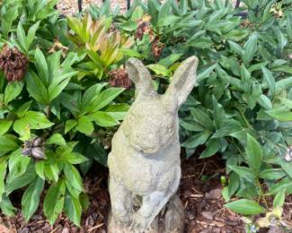 #221 concrete rabbit as is ear 22 tall $30.00