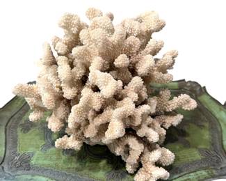 Authentic Coral