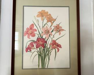 Signed & numbered Framed Print 