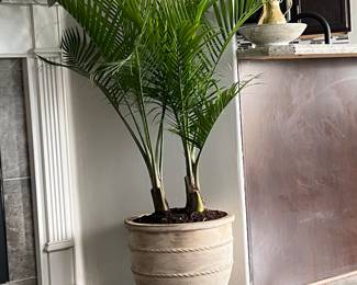 Terracotta pot Large