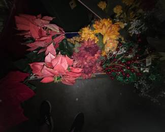 Flower stems