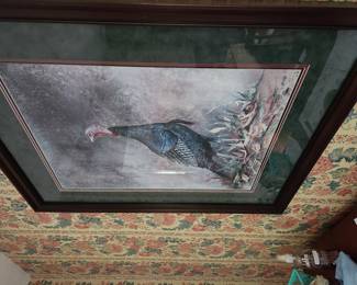 Framed wild turkey print