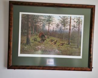 Wild turkey print