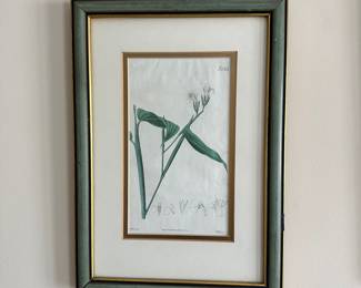 D21 - $30. Set of Three Small Botanical Prints. Framed measures 9.5" x 13.5".