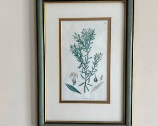 D21 - $30. Set of Three Small Botanical Prints. Framed measures 9.5" x 13.5".