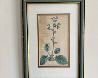 D21 - $30. Set of Three Small Botanical Prints. Framed measures 9.5" x 13.5".