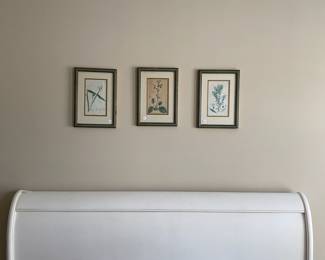 D21 - $30. Set of Three Small Botanical Prints. Framed measures 9.5" x 13.5".
