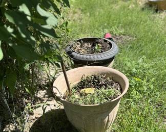 Pots