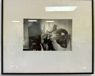 Framed Photography Pieces