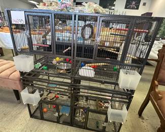 Bird Cage