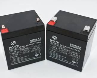 pair of Saite Sealed Lead-Acid battery
