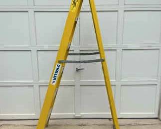 6ft Ladder