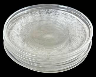 9 Engraved Small Glass Plates