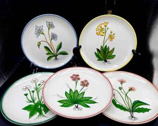 (5) Botanical Plates Made In Italy Signed Freeman Numbered Hand Painted 8'
Some small chips on rims as shown.