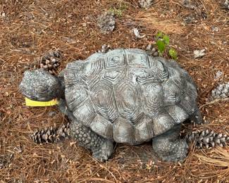 Small Concrete Turtle